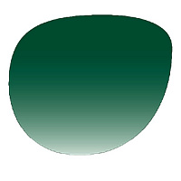 Краска OptiSafe Forest Green 20гр. C250‑17